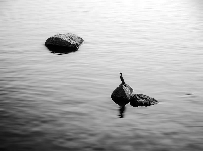Minimalism Design